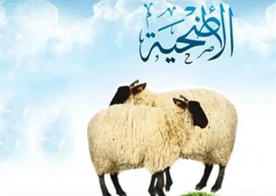 مشروع الأضاحي