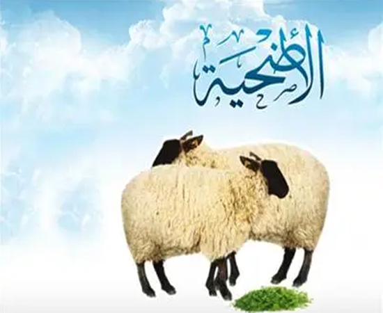 مشروع الأضاحي